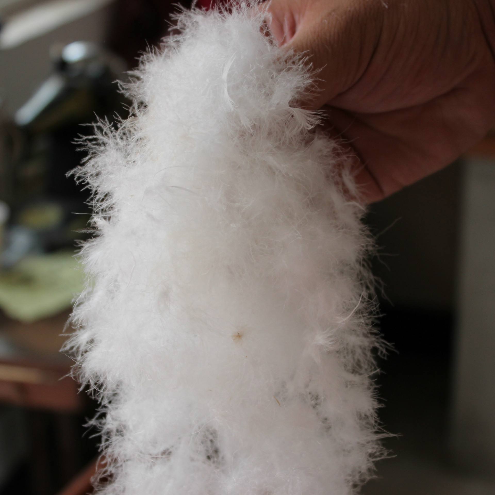 廠家直銷內(nèi)銷吊絨90白鴨絨 高蓬松羽絨制品填充物與批發(fā)市場解析